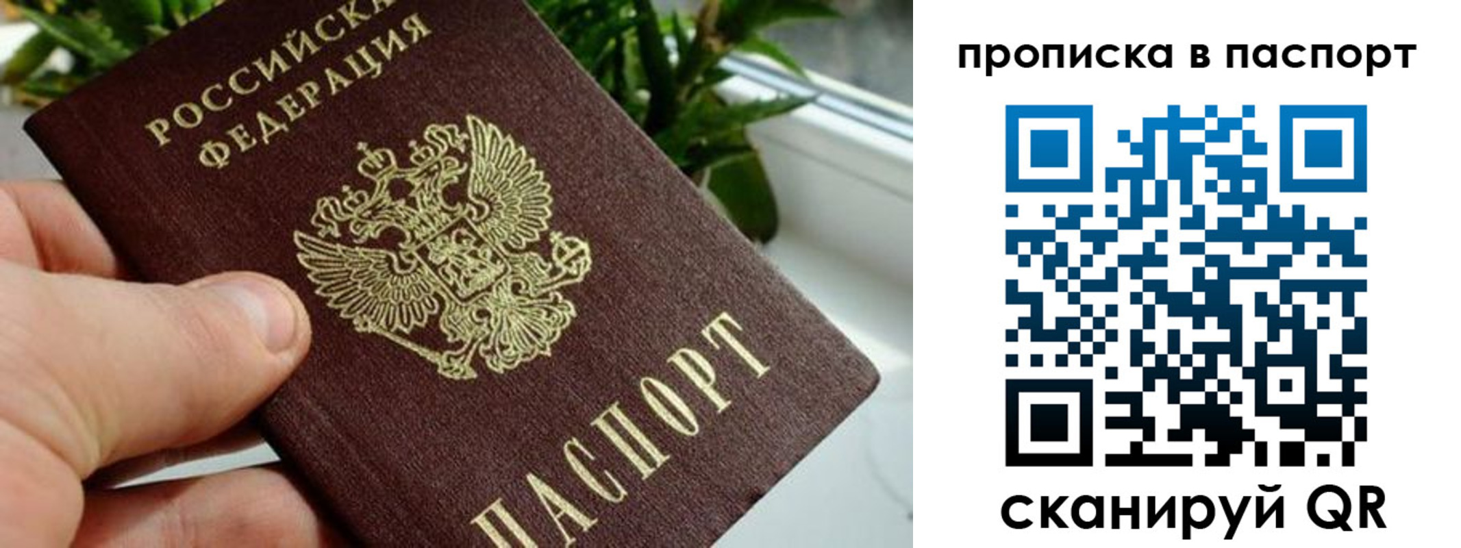 временная регистрация поиск в Волгодонске